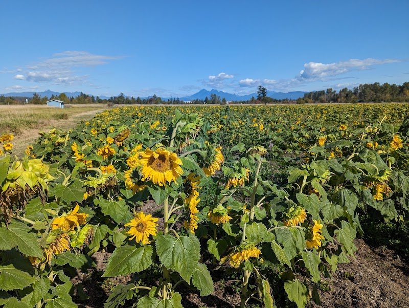 Stable Harvest Farm 5