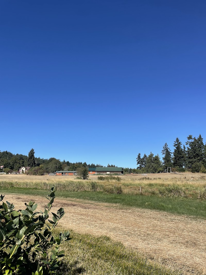 Steld Blueberry Farm 5