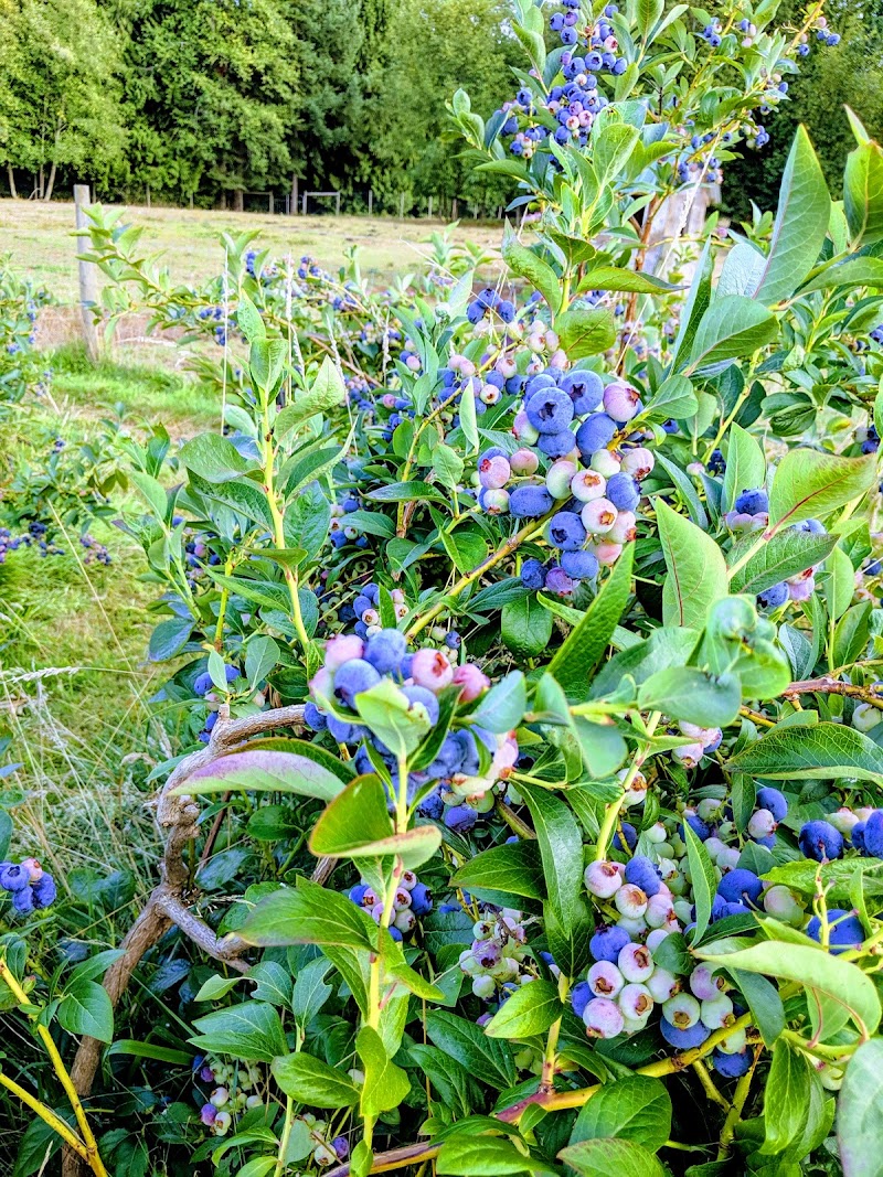Stocking Creek Farm