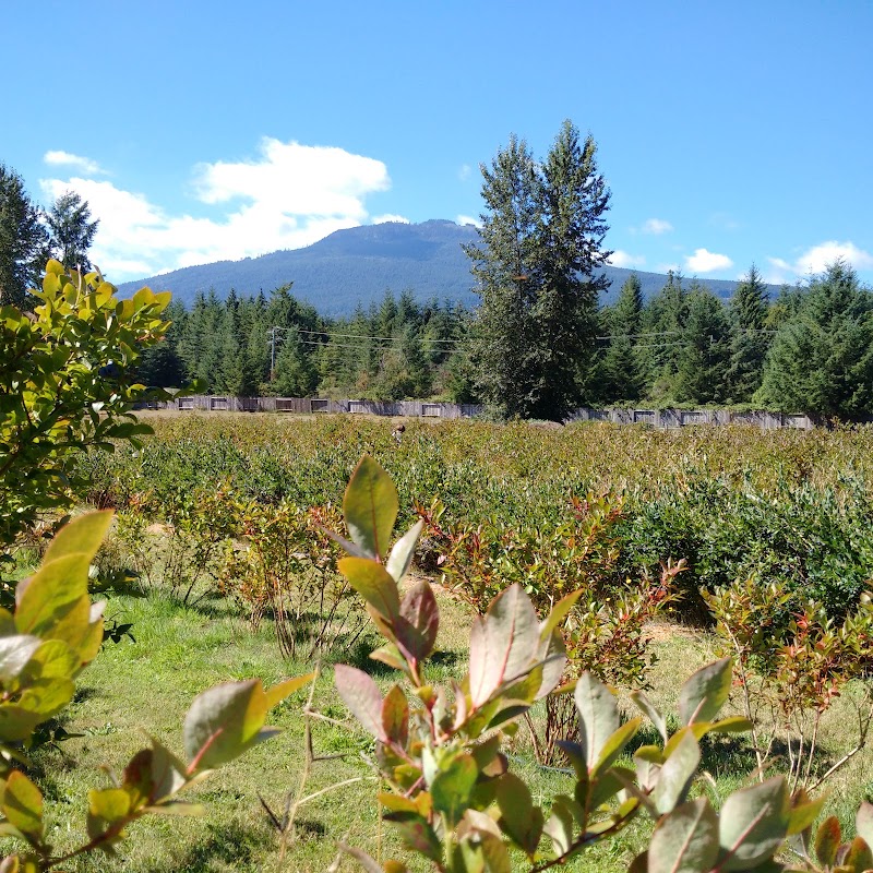 Stocking Creek Farm 3
