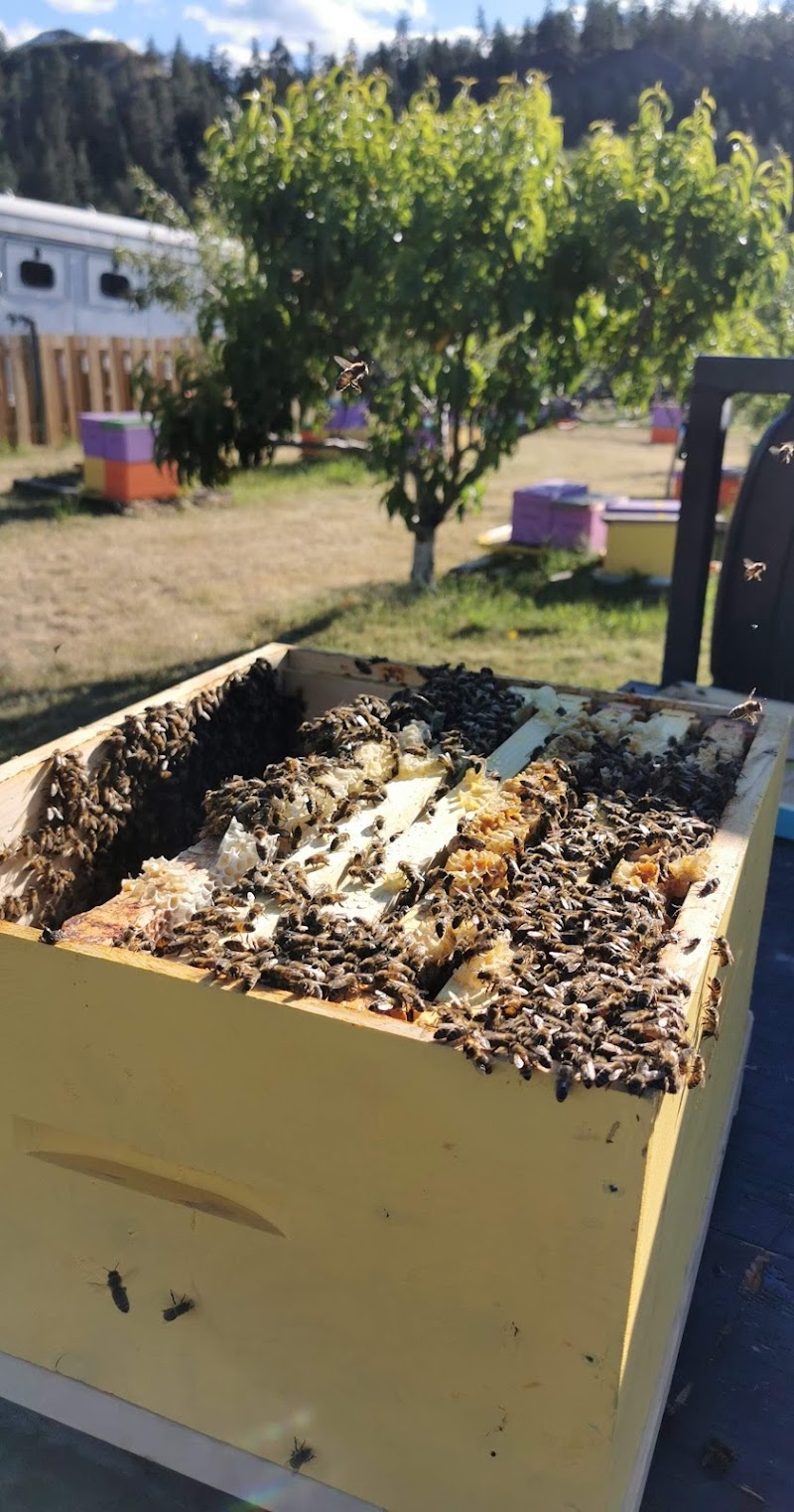 Summerland Bees 2