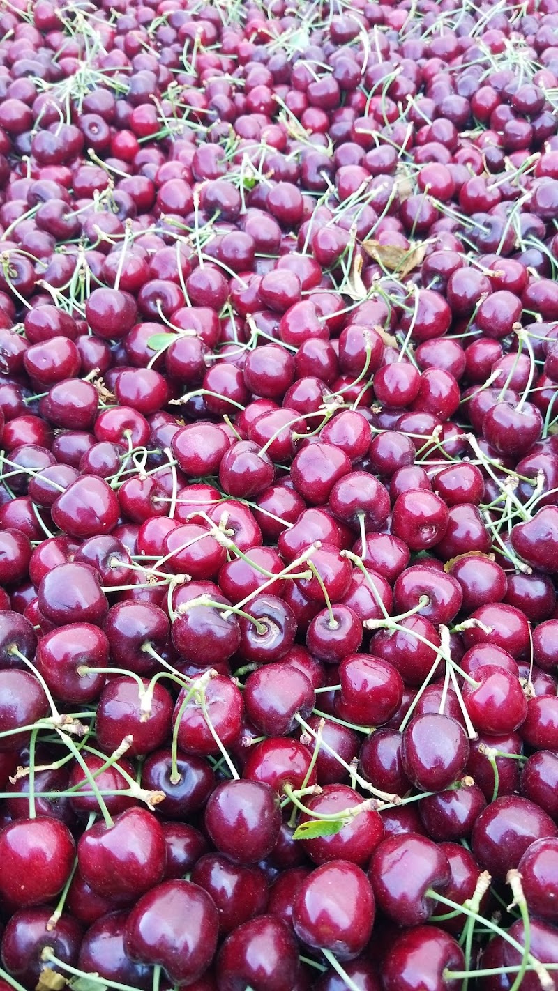 Sunny Valley Fruit 4