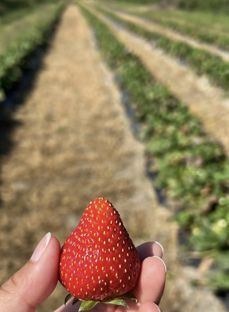 Sunshine Meadow Farms 2