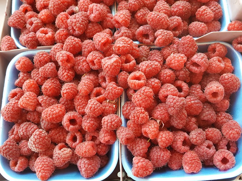 Takhar Berry Farms