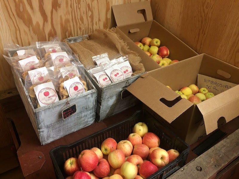 The Apple Bin 5