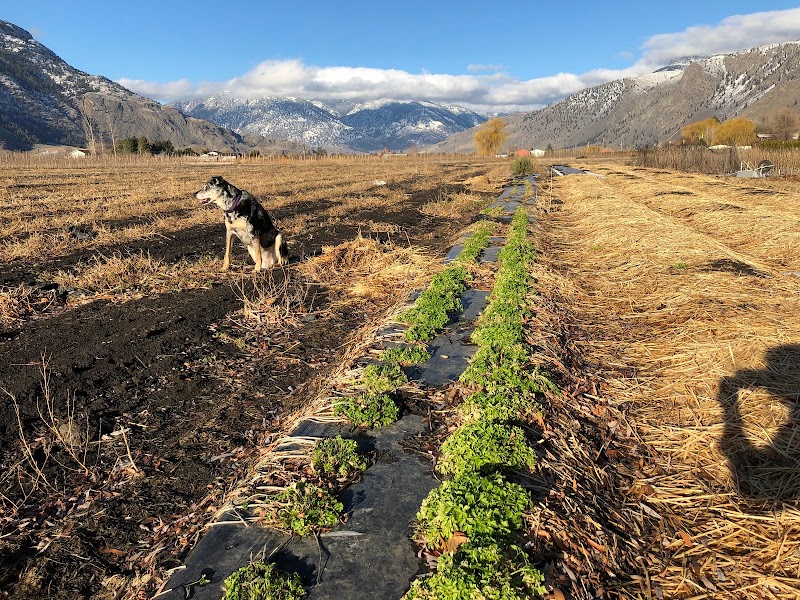 The Cawston Market Farmer