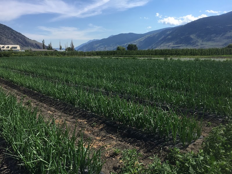 The Cawston Market Farmer 2