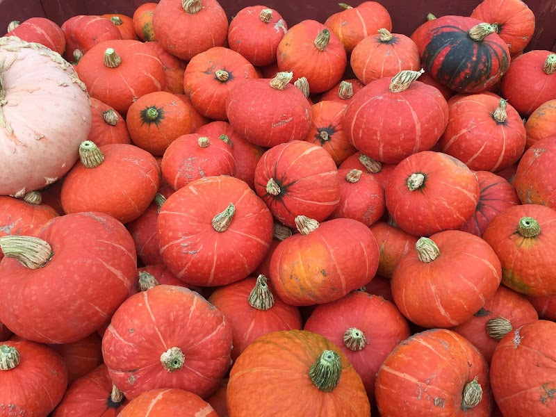 The Cawston Market Farmer 4