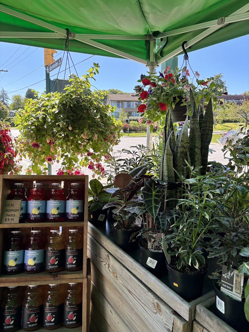 The Local Farm Market 3