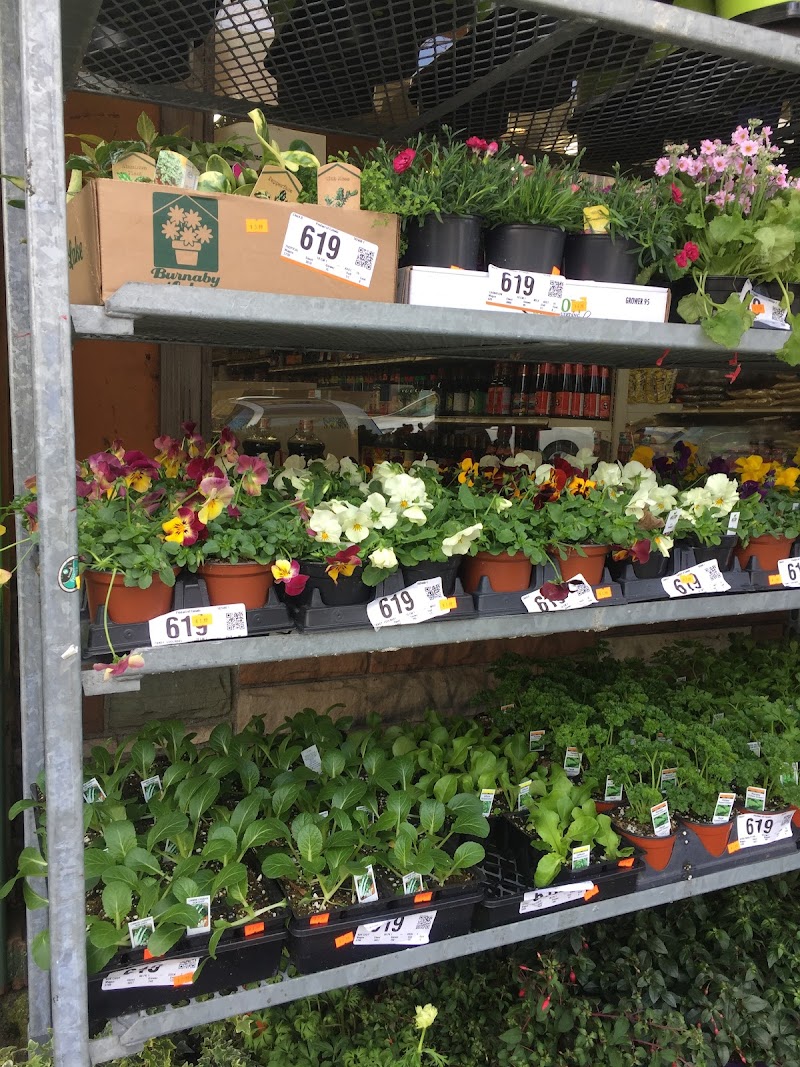 Triple A Market 3