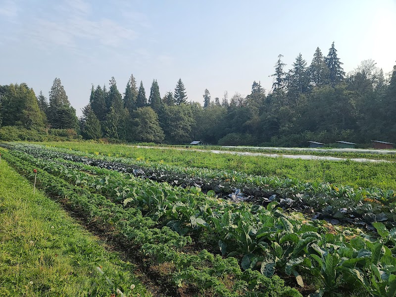 UBC Farm 3