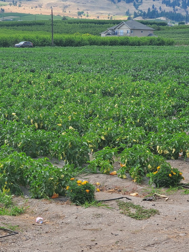 Valley Best Produce Fruit Market 2