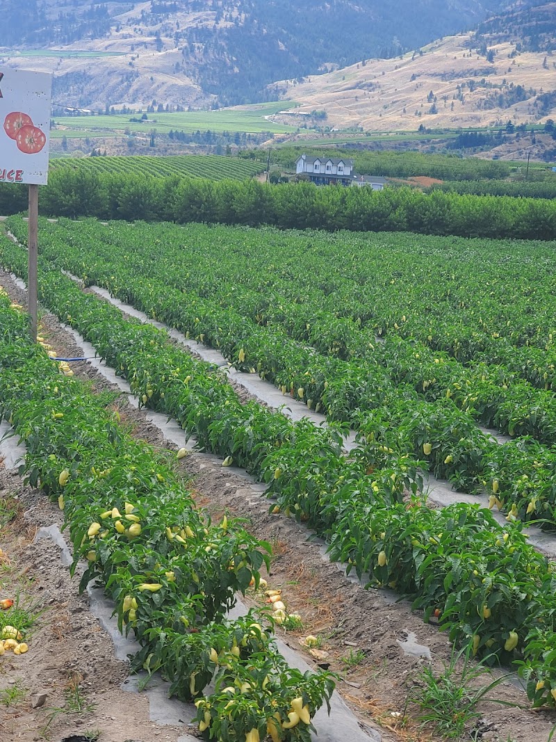 Valley Best Produce Fruit Market 4