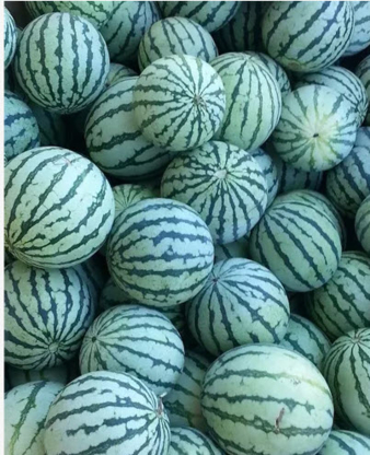 Van Kalkeren Fruit 3