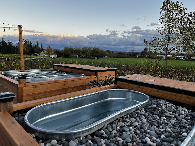 Vineyard Sauna & Cold Plunge 2