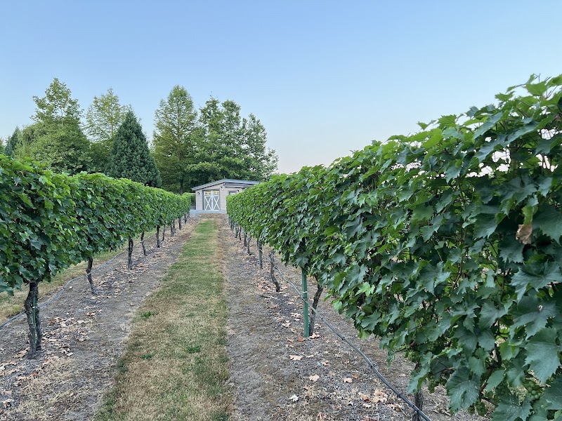 Vineyard Sauna & Cold Plunge 4