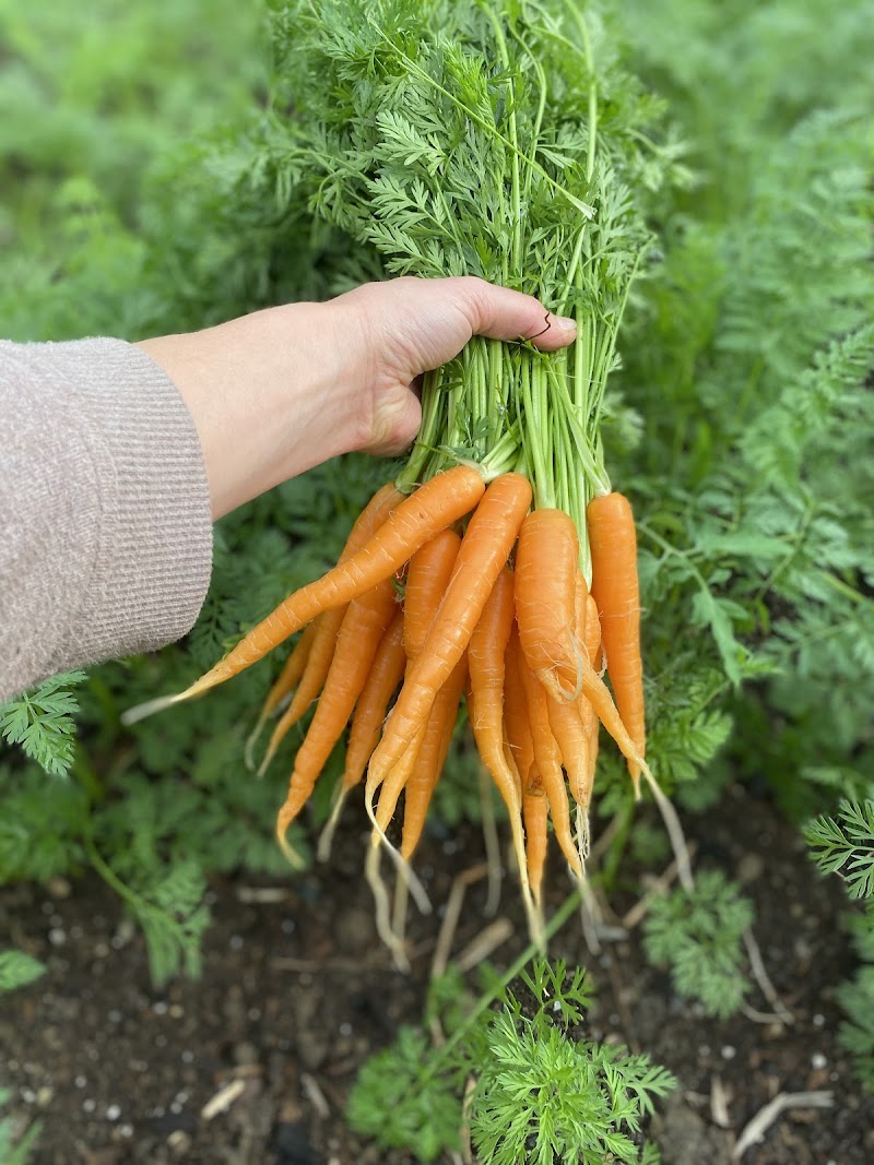 Wells Farm Market 4